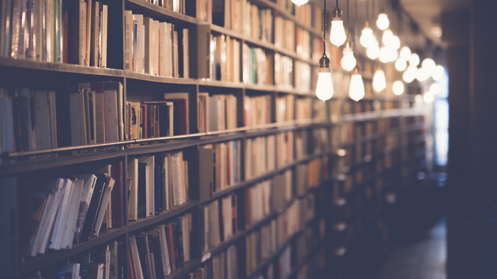 Is KDP Select Worth It? Kindle Unlimited Exclusivity, Decided With Data