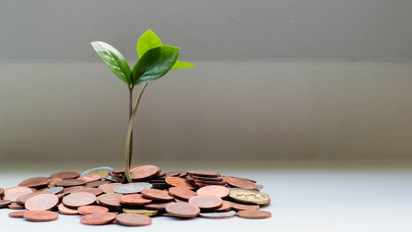 When Does Amazon KDP Pay You? The 60-Day Cycle, Thresholds, and Why a Payment Is 'Missing'